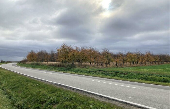 dolnośląskie, wrocławski, Działka na sprzedaż